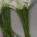 SITUMEIZI 24 PCS White Fake Flowers Artificial Calla Lily Silk Flowers Real Touch for Mother's Day Easter Home Kitchen Decor Wedding Bouquet Office Spring Decoration(Pure White)