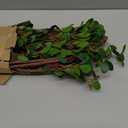 Sggvecsy 43 6Pcs Artificial Ficus Branches Faux Leaf Spray Green Eucalyptus Branches Artificial Greenery Stems Fake Ficus Twig Plants for Home Office Wedding Vase Filler Shop Decoration