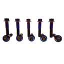 Rison Titanium Flanged Hex Head Bolt M10x1.25x25mm 6AL4V Aerospace Grade Ti Burnt Blue for Motorcycle Car Modification - Pack of 5 (Black)