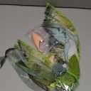 Fairy Wings Costume Set for Adults - Cosplay Accessories Butterfly Wings with Elf Ears, Fairy Flower Arm Wrap for Halloween (Green)