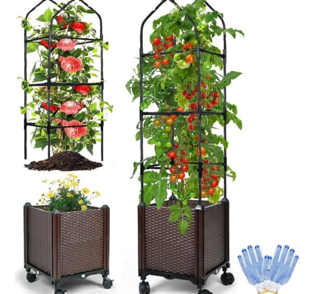 2Pack Raised Garden Bed with Tomato Planter Cage, 59" Self-Watering Tomato Planter with Trellis for Indoor Outdoor Patio Greenhouse Gardening Climbing Vegetable and Plants