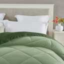 Seward Park Twin XL Size Forest Sage Green Comforter Reversible Lightweight Boys Girls Cooling Bedding College Dorm Bedspread All Season Fall Blanket