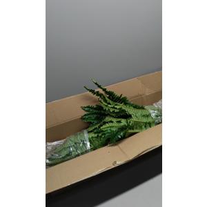 2-Piece Artificial Plant Set