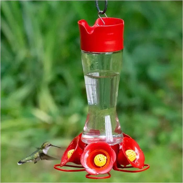Hummingbird Feeder Pinch Waist