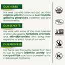 Traditional Medicinals Organic, Smooth Move Laxative Capsules - Organic Senna & Licorice Laxatives for Constipation - Kosher, Non-GMO, Stimulant-Free - 50 Capsules (EXP 06/16/28)