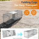 Live Animal Trap Cage Humane Collapsible Cat Trap Cage 1-Door Folding Skunk Traps for Catch and Release Small Raccoons Beavers Squirrel Groundhogs Cats Armadillos Skunks