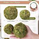 Jetec 18 Pcs Decorative Balls for Centerpiece Bowls Green Moss Balls Wicker Rattan Cord Decorative Bowl Fillers for Garden Vase Home Party Table Spring Christmas Farmhouse Rustic Decor(Regular Size)