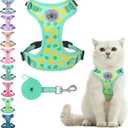 BEAUTYZOO Cat Harness and Leash Set Escape Proof, Small Cat Vest Harness for Walking, Adjustable Step in Kitten Harnesses for Travel, Soft Lightweight Outdoor Cute Kitten Harnesses, Pineapple S