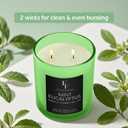Mint Eucalyptus Scented Candle, 2-Wick Luxury Soy Wax Candle, 9 oz Aromatherapy Candle Home Fragrance Candles Gift