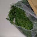 Jutom 1 Pcs 9 ft Christmas Cedar Garland - Artificial Realistic Faux Greenery Cedar Pine Garland for Home Fireplace, Door, Window, Indoor & Outdoor Christmas Party Decoration