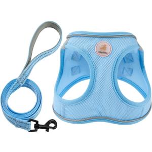 Hipubby Dog Harness and Leash Set, No Pull Soft Mesh Puppy Harness for Small Medium Dogs, Cats - Step in Reflective Breathable Lightweight Vest Harness for Walking, Training - Blue, S (S (Chest: 15.5"-17"))