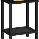 HOOBRO End Table, Small Side Table with 2-Tier Storage Shelves, Nightstand with Faux Rattan Decoration, for Small Space, Living Room, Bedroom, Black BK91BZ01