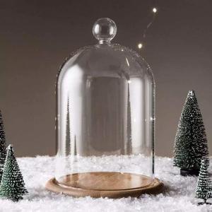 Home Decor Vases Glass Flower Display Cloche Bell Jar Dome Immortal Preservation + Wooden Base Everlasting Flower Glass Cover