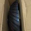 EDHAS Mango Wood Decorative Wooden Bowl Hand Carved Home Decor for Dining Table Center, Living Room, Kitchen Dcor (12" x 12' x 4.75")