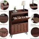 ChooChoo Shoe Storage Cabinet with 2 Flip Drawers, 9.45"D x 31.5"W x 42.9"H