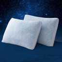 Shredded Memory Foam Cooling Soft Bamboo Viscose Pillows Queen Size Set of 2, Adjustable Hypoallergenic Hotel Quality Pillows for Back, Stomach or Side Sleeper, Oeko-TEX Certified