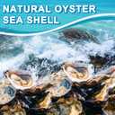 15PCS Oyster Shells 4"-5" Concave Oyster Shells for Crafts Natural Oyster Shells Bulk, for Home Vase Filler, Xmas Ornaments, DIY Arts and Crafts Sea Shells