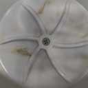 Electric Makeup Brush Cleaner 3-in-1, Automatic Brush Washing & Air-Drying Machine, Dual-Direction Deep Cleaning, Adjustable 2H/5H Drying, Fits Most Brush Sizes, Plug-in Design (2026 Upgrade) (Pure White)