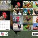 Big Cocks Calendar 2026 Rooster Monthly Wall Calender 12 Month | American Made In The USA
