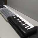 88 Key Piano Keyboard,Beginner Electric Digital Piano with Semi Weighted Keys,Keyboard Piano withSustain Pedal, Power Supply, Stand, Carrying Case,Headphones