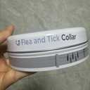 Dogs Collar (1 Ounce (Pack of 1))