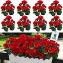 8 Bundles Artificial Geraniums Flowers for Outdoors Summer Mother's Day Derby Day Decor, Fake Cemetery Flowers Silk Red Flower UV Resistant No Fade Faux Plant for Porch Garden Home Planter Patio Decor