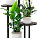 5 Tier Wood Tall Plant Stand Metal Rack Indoor, Multiple Flower Pot Holder Shelves Corner Rack, Round Planter Shelf Display Rack Storage Organizer for Patio Living Room Balcony(Black Oak)