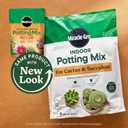 Miracle-Gro Cactus, Palm and Citrus Potting Mix, for Indoor or Outdoor Potted Plants, Great for Succulents, 8 qt., 2-Pack