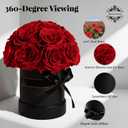 18 Preserved Flowers for Delivery Prime, Roses Dome Forever Flower Decor for Party Home Table Bedroom, Anniversary, Birthday, Wedding Gifts for Women Her (Red)
