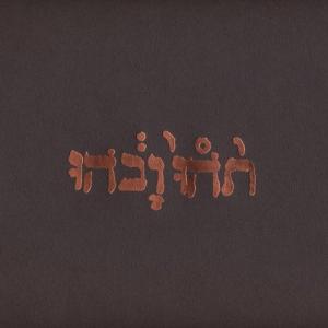 SLOW RIOT FOR NEW ZERO KANADA (Vinyl)