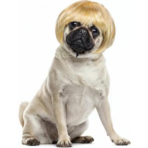 Cobee Funny Dog Cat Cosplay Wig, Pet Wig-Adjustable Costume Pet Funny Headwear Costumes Headgear for Small Medium Large Dog Cat Wigs Dress Up Decorations for Halloween, Christmas, Parties (Gold)