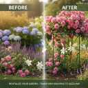 DAYUMKOU 8 Pack Peony Cages and Supports, 14" D x 24" H, 8pc 14"x24"
