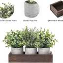 Dahey 3 Pack Mini Potted Artificial Eucalyptus Fake Plants with Wood Tray Centerpiece Table Decorations, Farmhouse Pulp Flower Pots Greenery Home Decor for Coffee Table Dining Room Office Kitchen