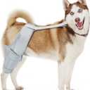 Dog Knee Brace, Support for Cruciate Ligament Injuries, Patella Dislocation for Both Back and Front Legs, Color: Silver, Size: M (M(7.3'-10.2'))