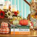 DECSPAS Fall Decorations for Home, Autumn Harvest Wooden Stacked Books Sign with Pumpkins & Bow for Fall Decor, Thanksgiving Tabletop decorations for Tiered Tray, Shelf, Table, Mantle, Fireplace (orange, green, white)