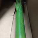Nearly Natural 3ft. Banana Artificial Tree , Green