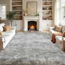 Fluffy Area Rugs for Bedroom - Soft Plush Shag Rug for Living Room Nursery Kids Room - Non Slip Fuzzy Shaggy Floor Carpets for Girls Boys Play Room Dorm Decor (Tie-Dyed Light Grey, 4' x 6')