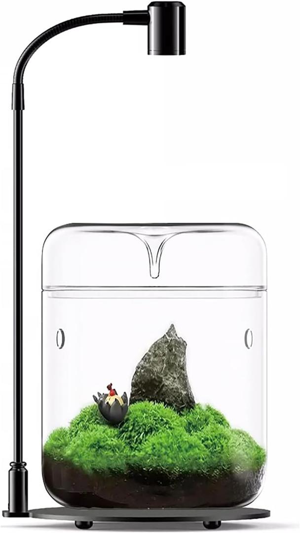 Glass Plant Terrarium 4.7"X7" Inches Succulent Air Planter Fern Moss Micro-Landscape Vase for Home Office Tabletop Decoration Container with Lid Indoor Wardian Copyright Patentwith Light