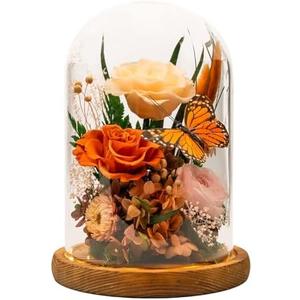 HUACHIPLUS Eternal Flowers with Butterfly: Forever Flower Arrangement-Elegant Preserved Flowers in Glass Dome-Romantic Valentines, Anniversary, Mom Gifts for Her-Flowers for Delivery Prime (Orange)