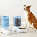Amazon Basics Large Capacity Automatic Pet Water Dispenser and Gravity Feeder Set, Easy to Clean, 456.6fl.oz Food, 382.1fl.oz Water, Gray