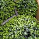 4FT Topiary Balls Artificial Outdoor Set of 2 Front Door Plants