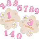 3D Wooden Daisy Baby Monthly Milestone Sign Cards 1-12 Months Interchangeable Monthly Milestone Wood Discs Announcement Sign for Baby Shower Newborn Photo Props Gifts(Pink)