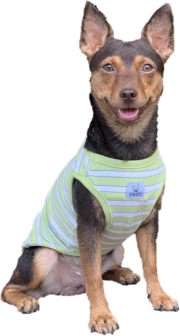 YQYS Dog Shirts Multi-Color Striped Cotton Vest for Small Dogs and Cats Puppy Clothes Teacup Dog Clothing Tank Top for Chihuahua Miniature Pinscher Green Large