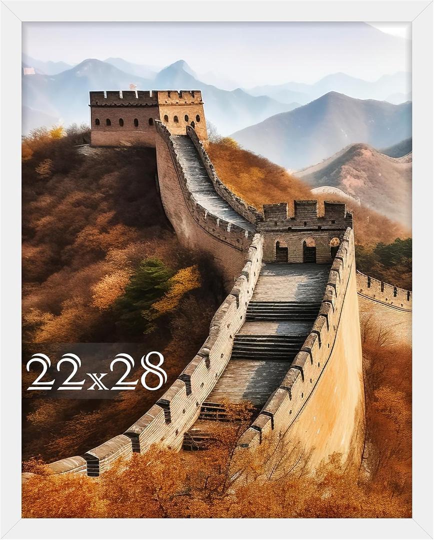 Picrit 22x28 Poster Frame, Picture Frame for Wall Mounting Display, White