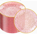 DaYammi 100 Pcs Pink Gold Dessert Plates hammered party plates, Pink Disposable Plates With Gold Rim, 7 Inch Dessert Platos Disposable, Plastic Appetizer Plates Perfect for Mother's Day