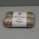 Simply Soft Paints Yarn-Rose Garden