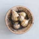 Creative Co-Op Resin Figs with Gold Finish (Set of 5 Pieces)