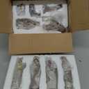 11PCS Nativity Set for Christmas Nativity Scene Resin Figurine Set, Birth of Jesus Ornament, Hand-Painted Holy Family Manger Scene Tabletop Collection Gifts for Christmas Indoor Decor