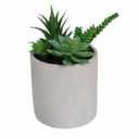 HD Deisigns Faux Succulent Greenery - 6-inch pot