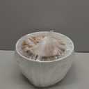 Plant Pots 12/10/9 inch Set of 3, Self Watering Flower Pots Indoor Outdoor, Planters with Drainage Hole Saucer Reservoir, White